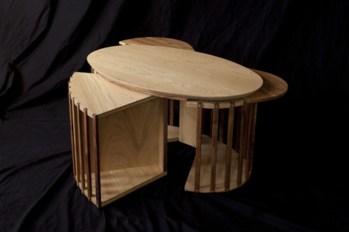 Joseph VALLON – Atelier de l’Ebeniste : Table basse ” la nasse”