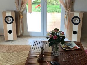 Enceinte en contreplaqué bouleau et placage châtaignier et érable